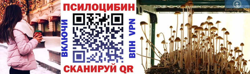 Галлюциногенные грибы мухоморы  Серов 
